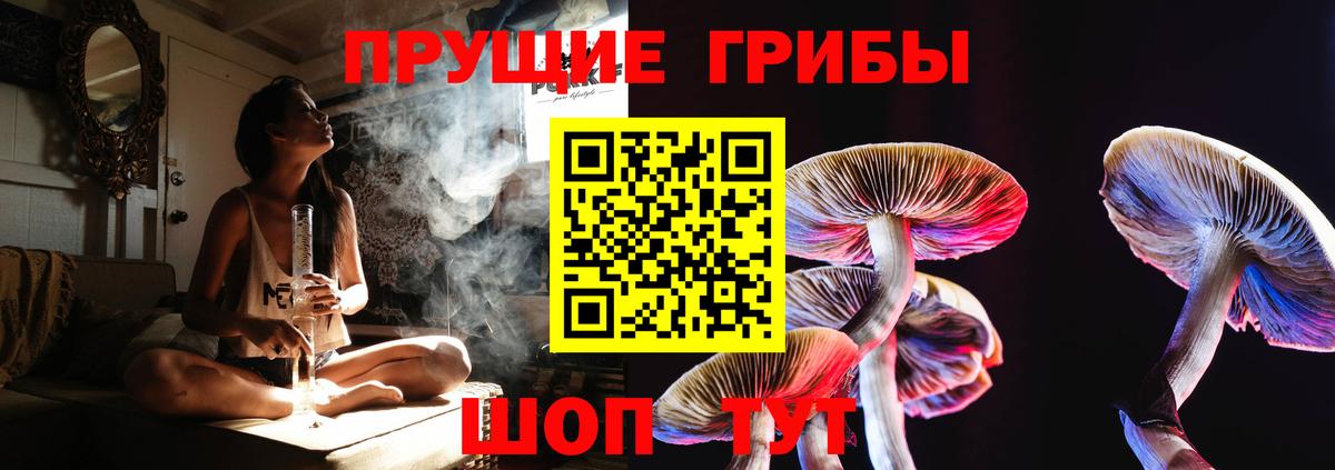 Галлюциногенные грибы мицелий Клин